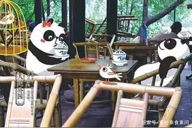 巴适又安逸 酷炫且佛系图片