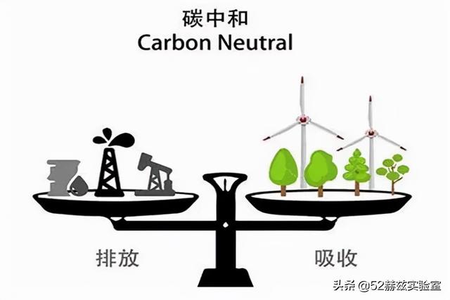 农科院一氧化碳合成蛋白质是怎么做到的？对中国有多大的意义？