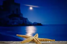 在深圳！遗落人间的一处美景——桔钓沙图片