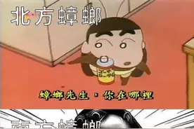 北方的蟑螂是普通怪，南方的蟑螂是精英怪图片
