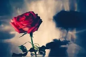 （21）小拉请我吃早餐，妹妹带男友登门入室，我留下外甥女陪外婆图片