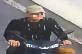 仪征一养殖场几百只鸡被偷，小偷竟是一条狗？图片