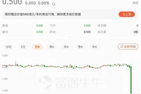 千亿房企老板“消失”的俩月：停工、裁员、甩卖资产 仅留部分员工善后图片