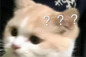 表情包：一脸问号的热门聊天表情图片