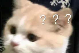 表情包：一脸问号的热门聊天表情图片