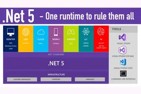 拥抱.NET 5，可以从这个极速开发的Web应用框架开始图片