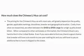 被CFA认证除名的中国狸花猫，到底有多优秀图片