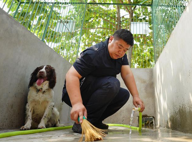资深铲屎官都不一定知道的，“狗味”去除法