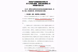 来去之间，财信地产还剩多少空间？图片