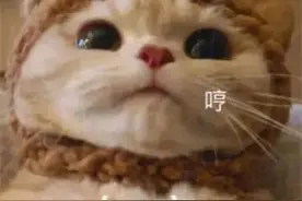 沙雕表情包：有被气到，谢谢图片