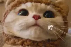 沙雕表情包：有被气到，谢谢图片