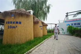 “华北之肾”修复记——白洋淀生态文明实践进行时图片