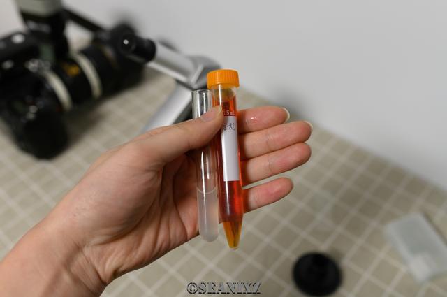 米饭脱糖概念真的全是伪科学？——还得看实际产品