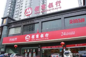 招行征信系统漏洞，闪电贷被骗贷400万图片