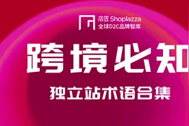 「跨境必知」跨境电商独立站术语集合（一）广告流量图片