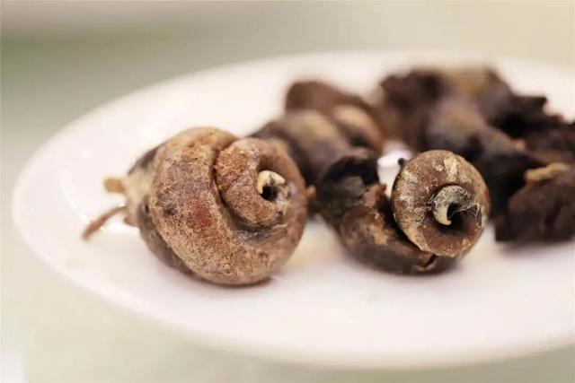 花胶响螺海底椰煲鸡 花胶响螺海底椰汤功效