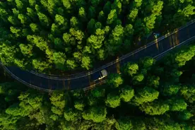 南川金佛山、神龙峡、山王坪三大景区明天将免费开放图片