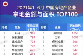 2021年上半年全国房地产企业拿地排行榜图片