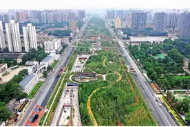 一座城市的“幸福林带”图片