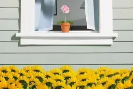 我真的变了吗？我没有，是社会和现实把我逼的，早安图片