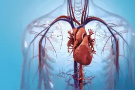 心脏不好，运动从下肢开始图片