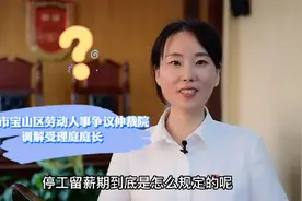 「说·法」工伤人员停工留薪工资怎么发？图片