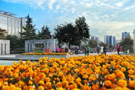 河南省人大常委会党组书记、副主任赵素萍莅焦调研经济社会发展和代表工作情况，王小平徐衣显王建修陪同图片