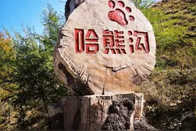 乌鲁木齐新晋热门景点——哈熊沟，免门票，东天山深处的森林公园图片