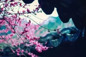 山山水水，皆是一来一去；人生无常，心安便是归处图片
