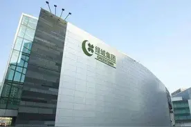 绿城代建将拆分上市“贴牌生意”喜与忧图片