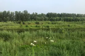 鲁西南地区对各种亲戚的称呼汇总图片