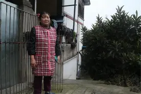 女子爱狗成魔，为了狗变卖房子，夫离子散，如今还欠下几十万债务图片