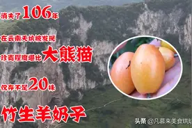 重大发现：消失了106年，在云南天坑被发现，不是羊奶果猜猜是啥图片