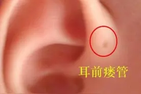 俗语“一旦耳边有粮仓，终生赚钱不用慌”啥意思，有道理呢？图片