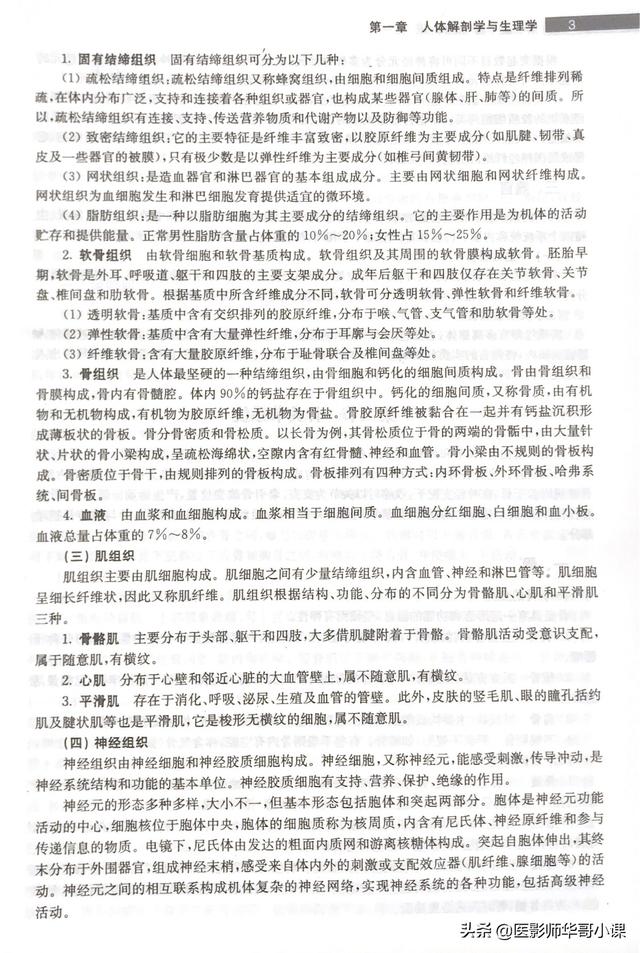 未角化复层扁平上皮的形态结构