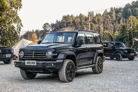 定位紧凑型，但看起来比中型还“大”！这几款SUV不愧是良心之作图片