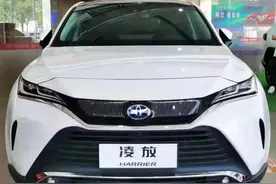 丰田着急了，凌放/广汽威飒齐上阵，比荣放气场足，竞争奥迪Q3图片