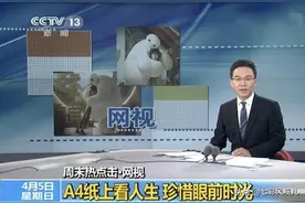 今夜，多少人因为央视曝光这张A4纸无法入眠！图片