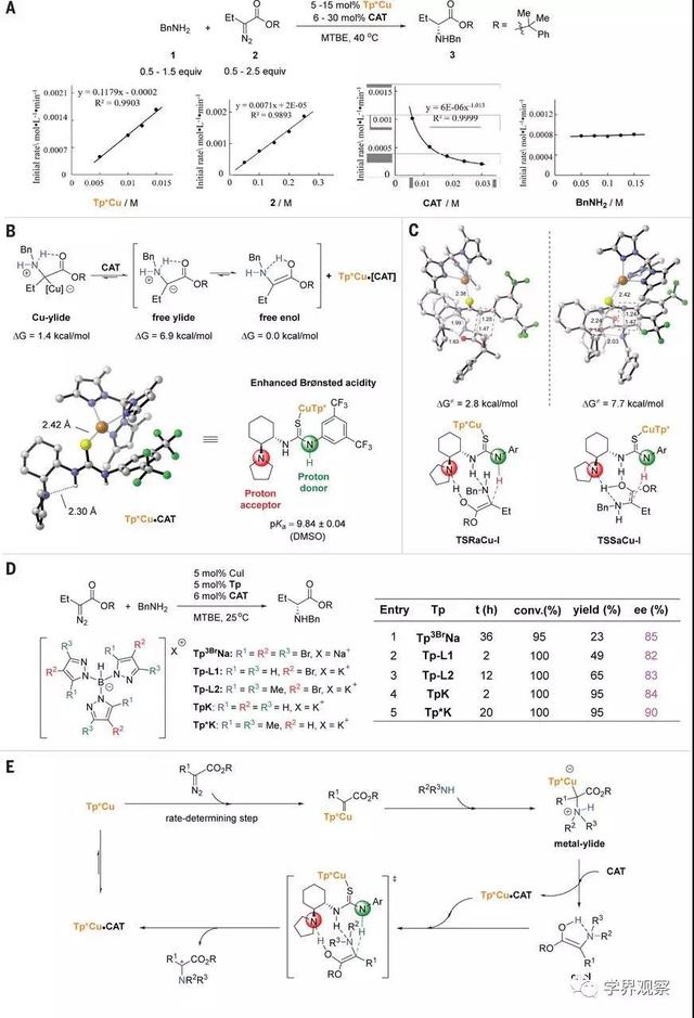 南开Science脂肪胺N–H键的高对映选择性卡宾插入合成手性氨基酸