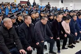 焦点访谈丨有黑必扫 有恶必除——安徽“刘氏兄弟”落网记图片