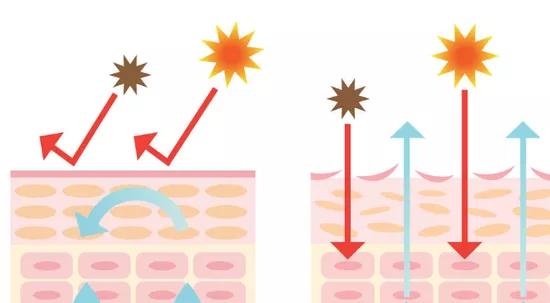 植感哲学迷迭香身体乳 植感哲学迷迭香身体乳