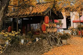 腾冲人眼中的云南地图图片