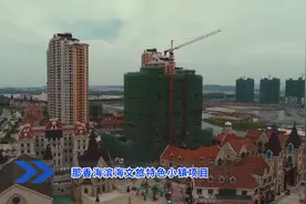聚焦威海双招双引暨项目建设攻坚突破：那香海滨海文旅特色小镇项目图片