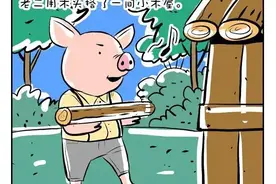 漫画——三只小猪的故事（新编）图片