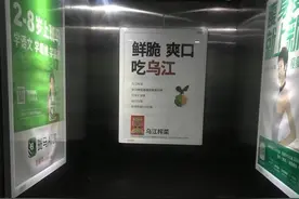 长春俩物业公司接连被处罚 业主有权对疯狂的电梯广告说“不”图片