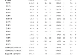 来宾市今年第一次挂牌出让住宅用地，213亩，起拍价3亿元起图片