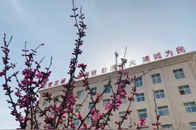 四月春来，消防营区找回“春”活力图片