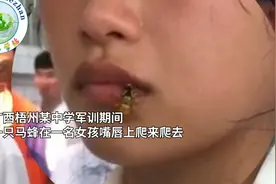 女生军训时蜜蜂爬嘴也一动不动，此女以后必成大器视频封面