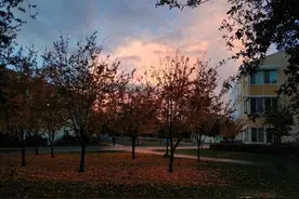 美国留学英文水平不行？三个方法教你学好英语图片