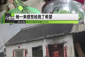 女子零彩礼嫁给高位截瘫网友：他那么可怜，我哪有心思再要钱图片
